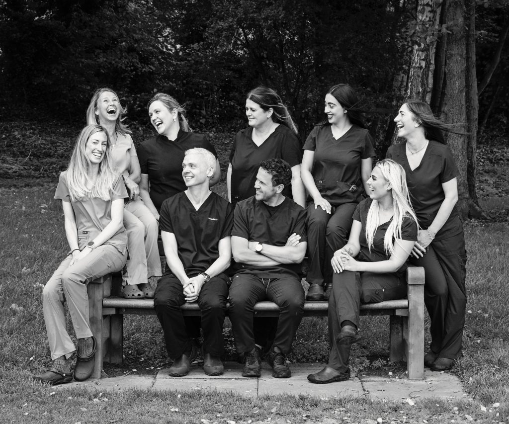 The Ribble Dental team in the practice